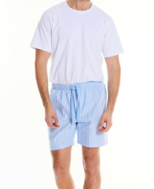 Blue White Stripe Oxford Cotton Lounge Shorts L SpendersFriend